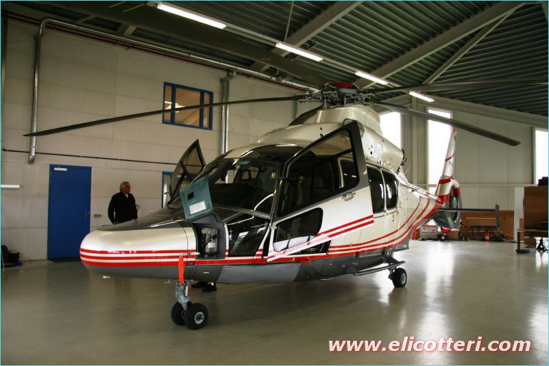 elifoto (143)